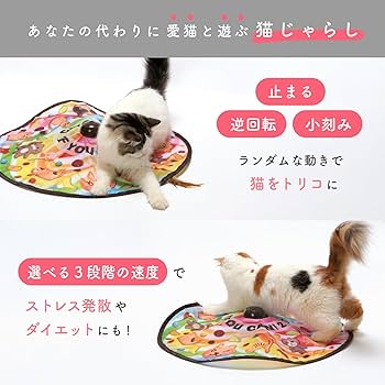 Amazon.co.jp: 猫壱 キャッチ・ミー・イフ・ユー・キャン2 猫用